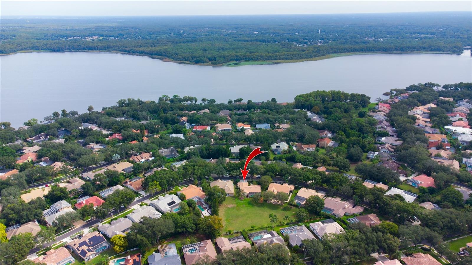 LAKE TARPON IN DISTANCE