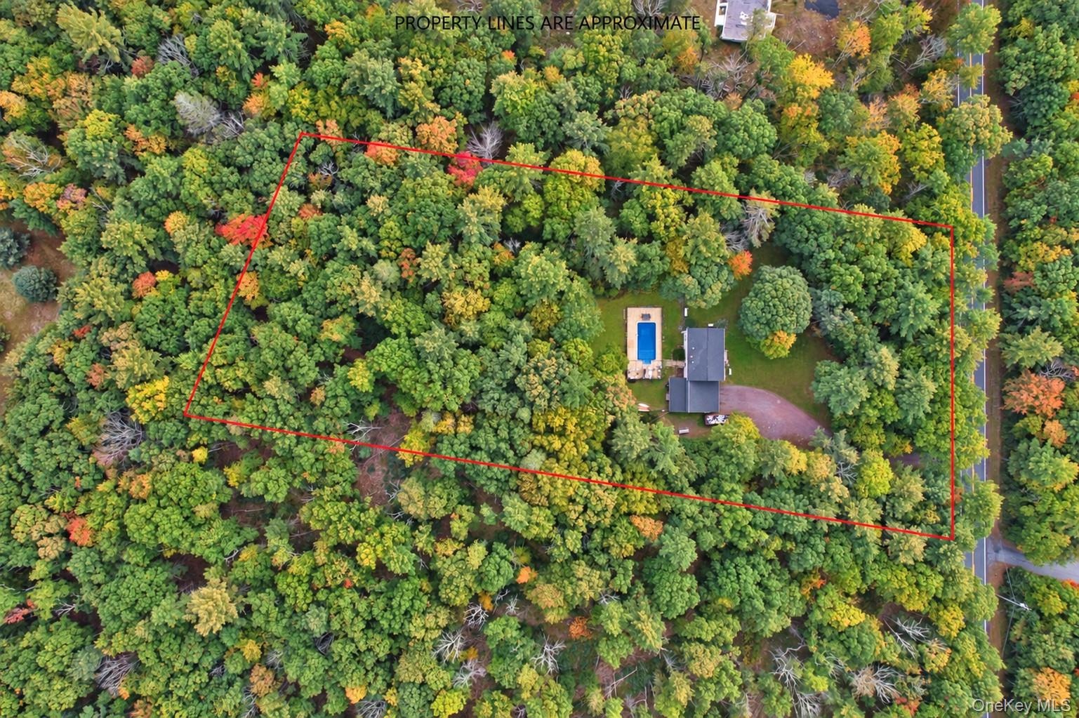 Wooded parcel featuring a primary residence, rectangular swimming pool, and a gravel driveway