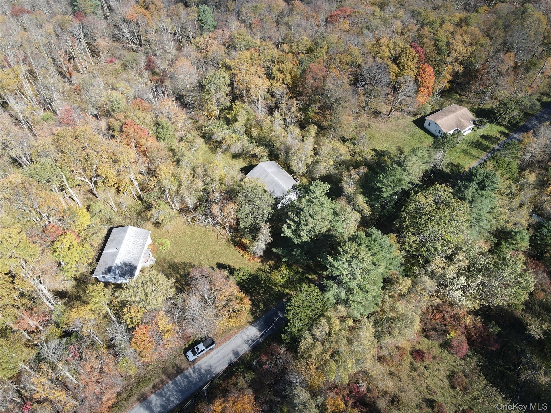 Three Homes on 15 acres.