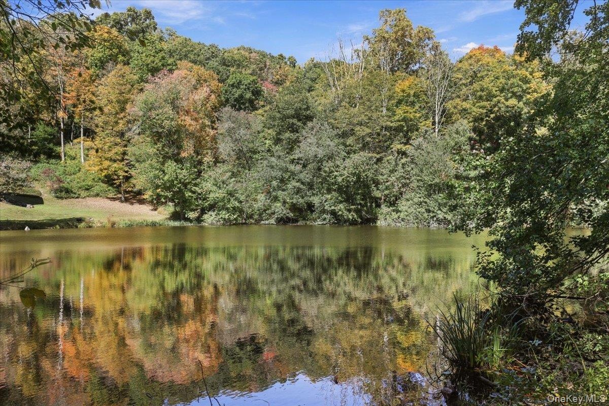 Pond