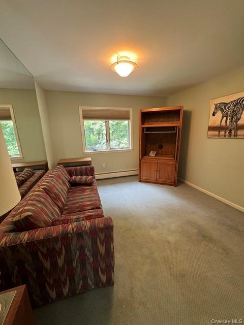 Built-in wooden cabinetry, dual windows, and ceiling-mounted light fixture