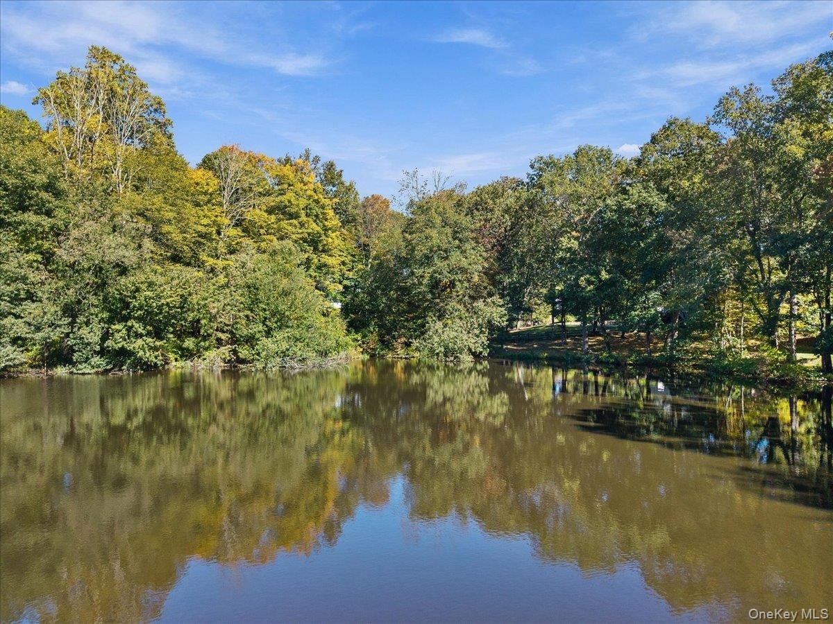 Pond