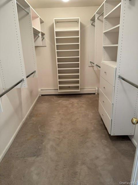 Walk-in closet featuring built-in shelving, hanging rods, and integrated drawers