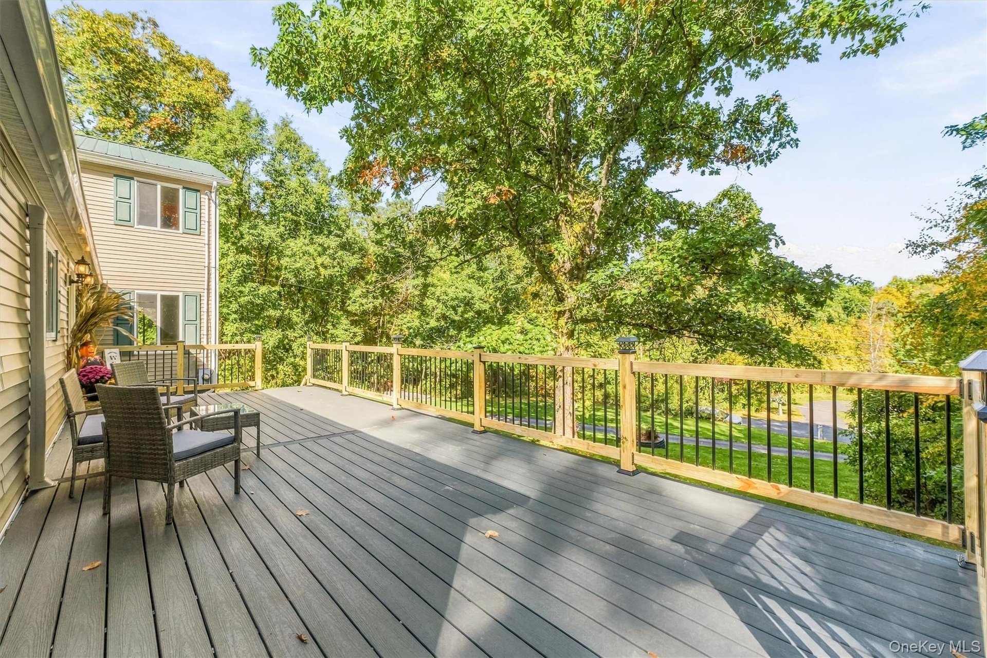 Expansive composite deck with horizontal wood-finish flooring and black metal railing system overlooking mature landscaping and open grounds