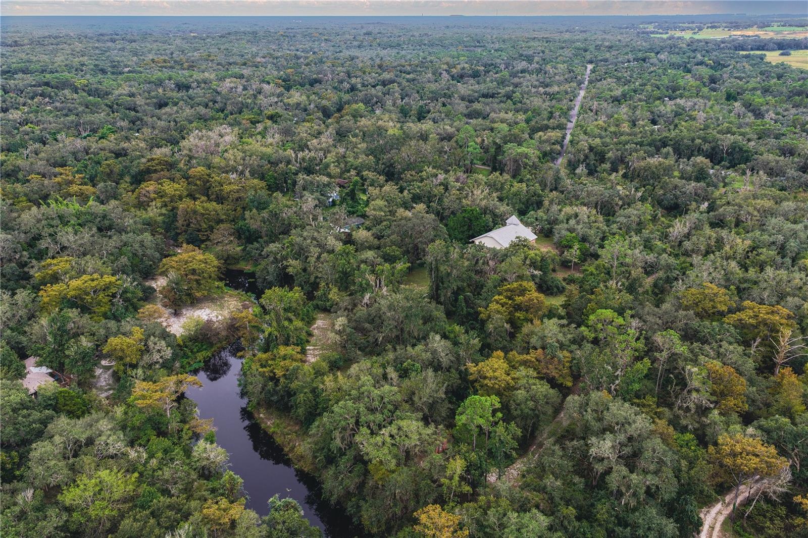 Withlacoochee River abuts the property. Roof top pictured is the subject property.