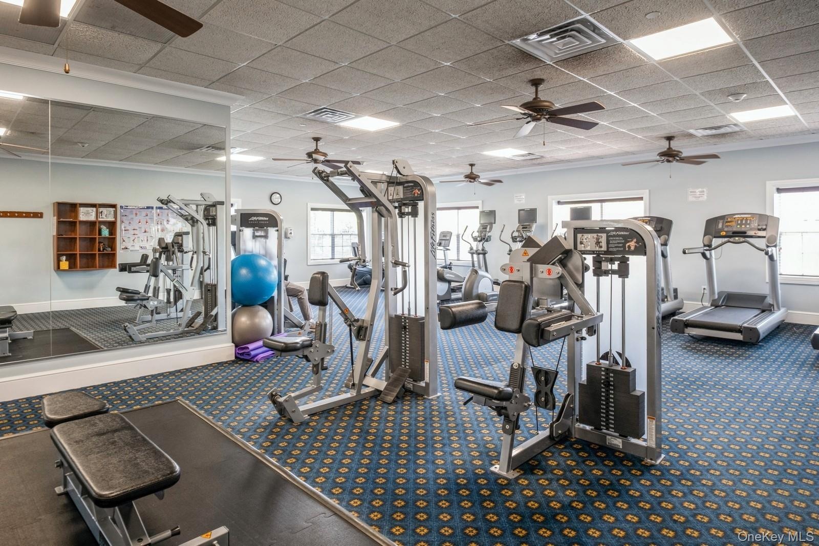 Community Gym