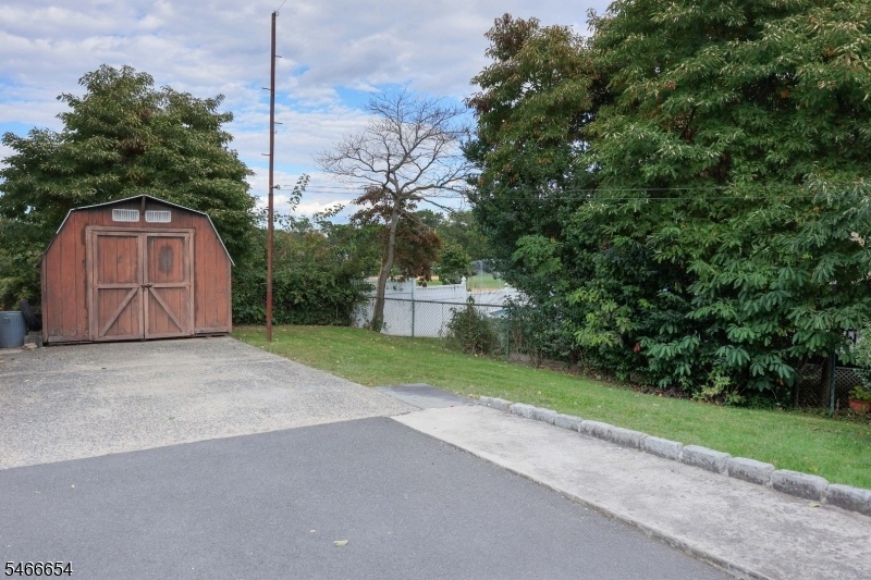 Driveway/Shed