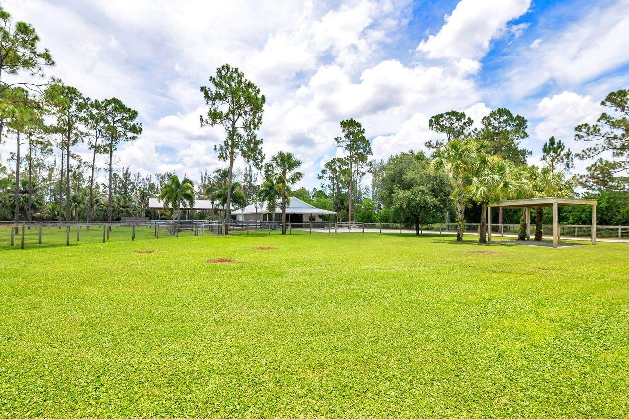 Expansive grassy area with natural fencing and mature trees
