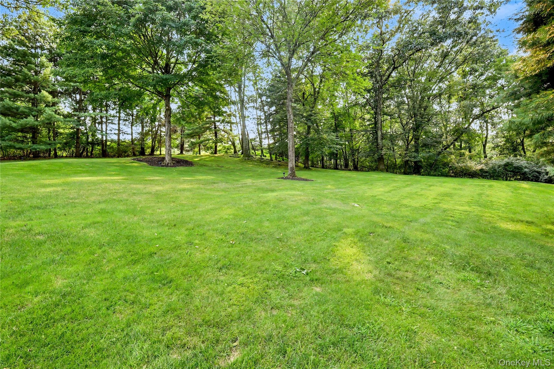 Rear Yard