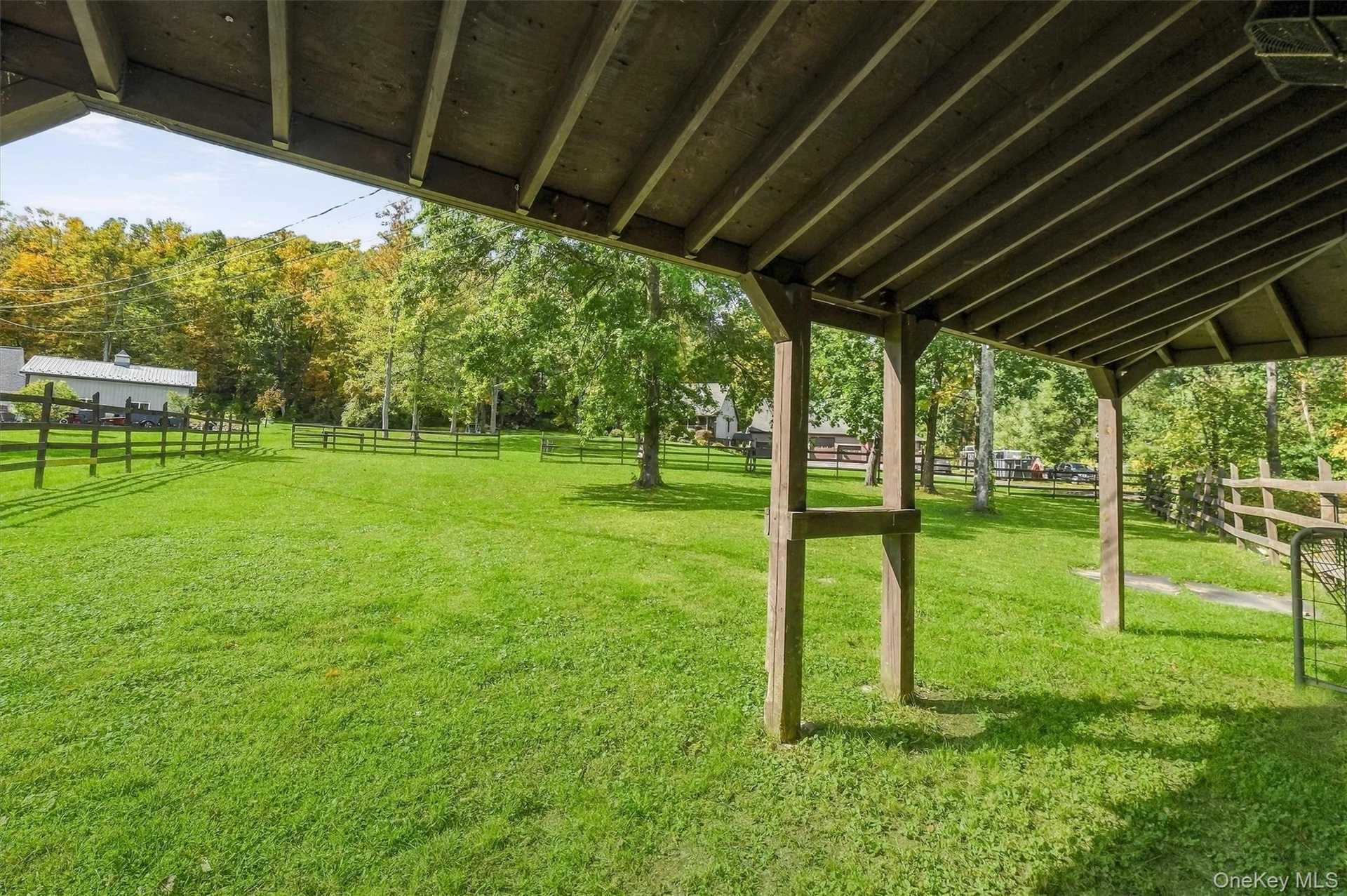 Shelter and shade trees make the paddock a comfy place for your 4 legged companions.