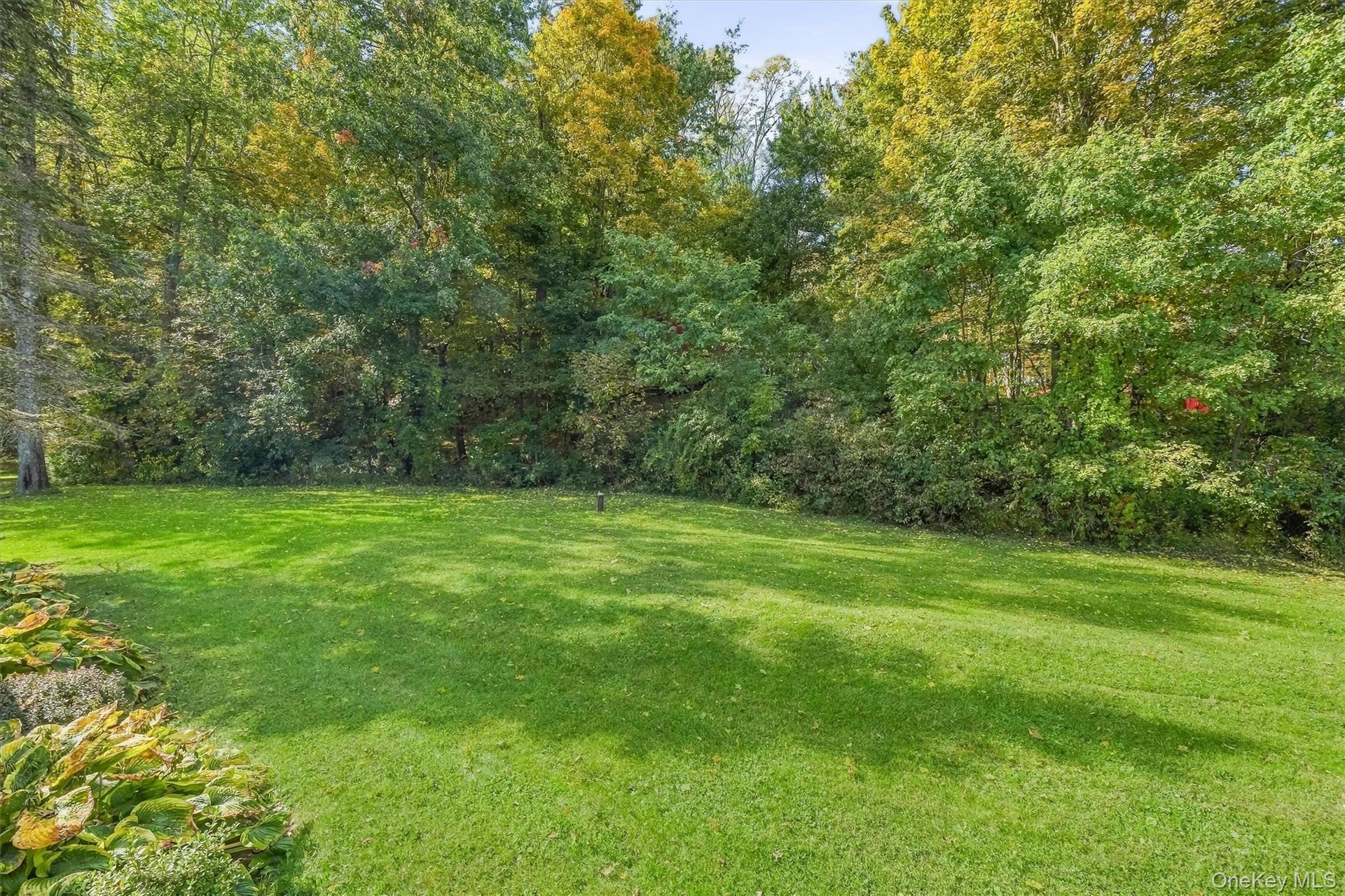 Directly past the tree line is the Wallkill Valley Rail Trail section of the Empire State Trail. Direct and easy access to year round exercise or ridi