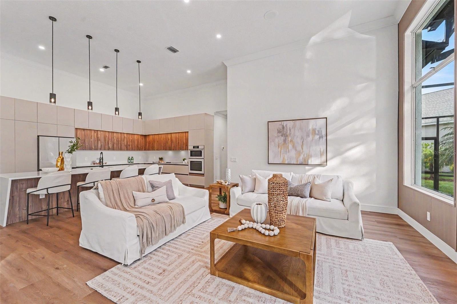 Living Room & Kitchen