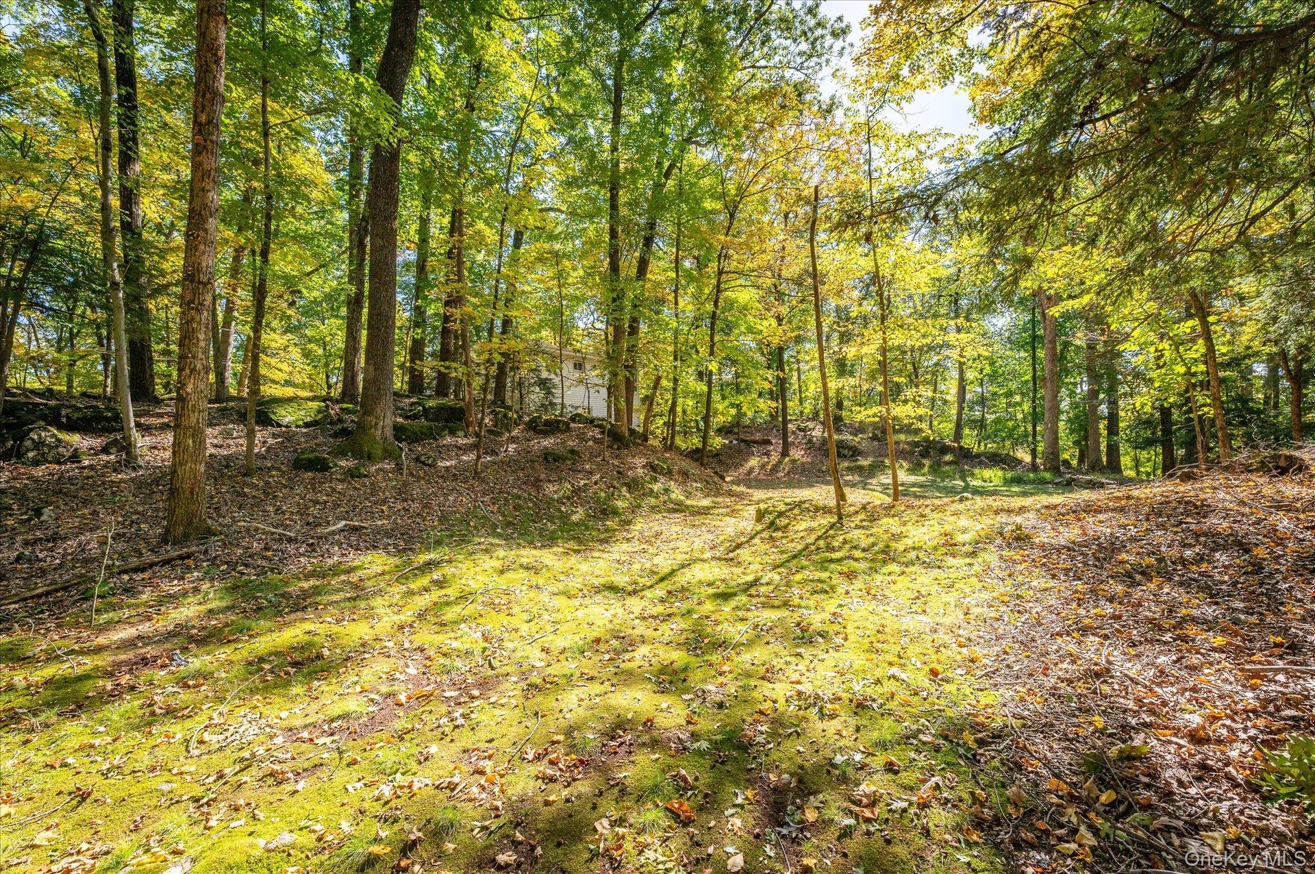 A clearing in the woods to call your own