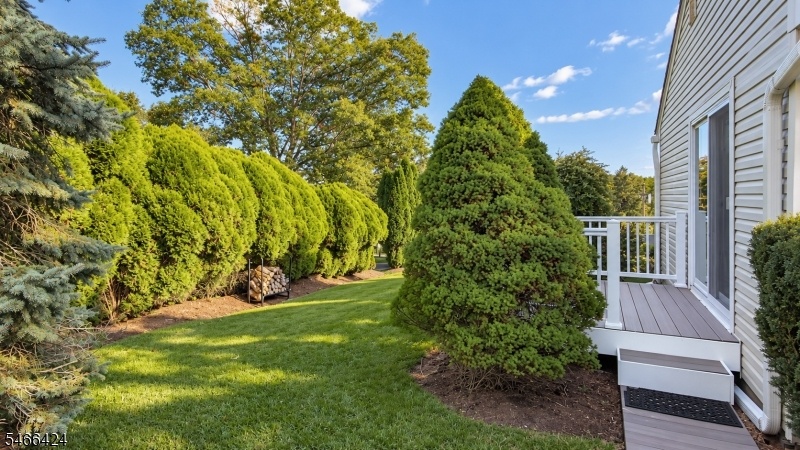 Side Deck and Yard