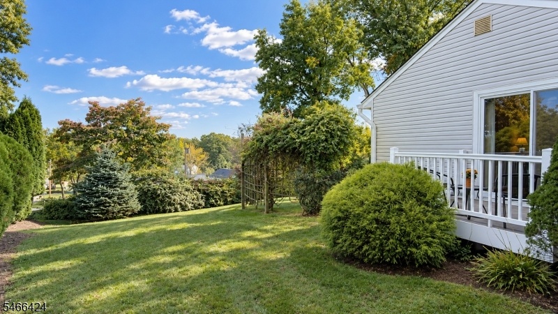 Side Deck and Yard