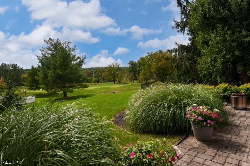 View from Patio
