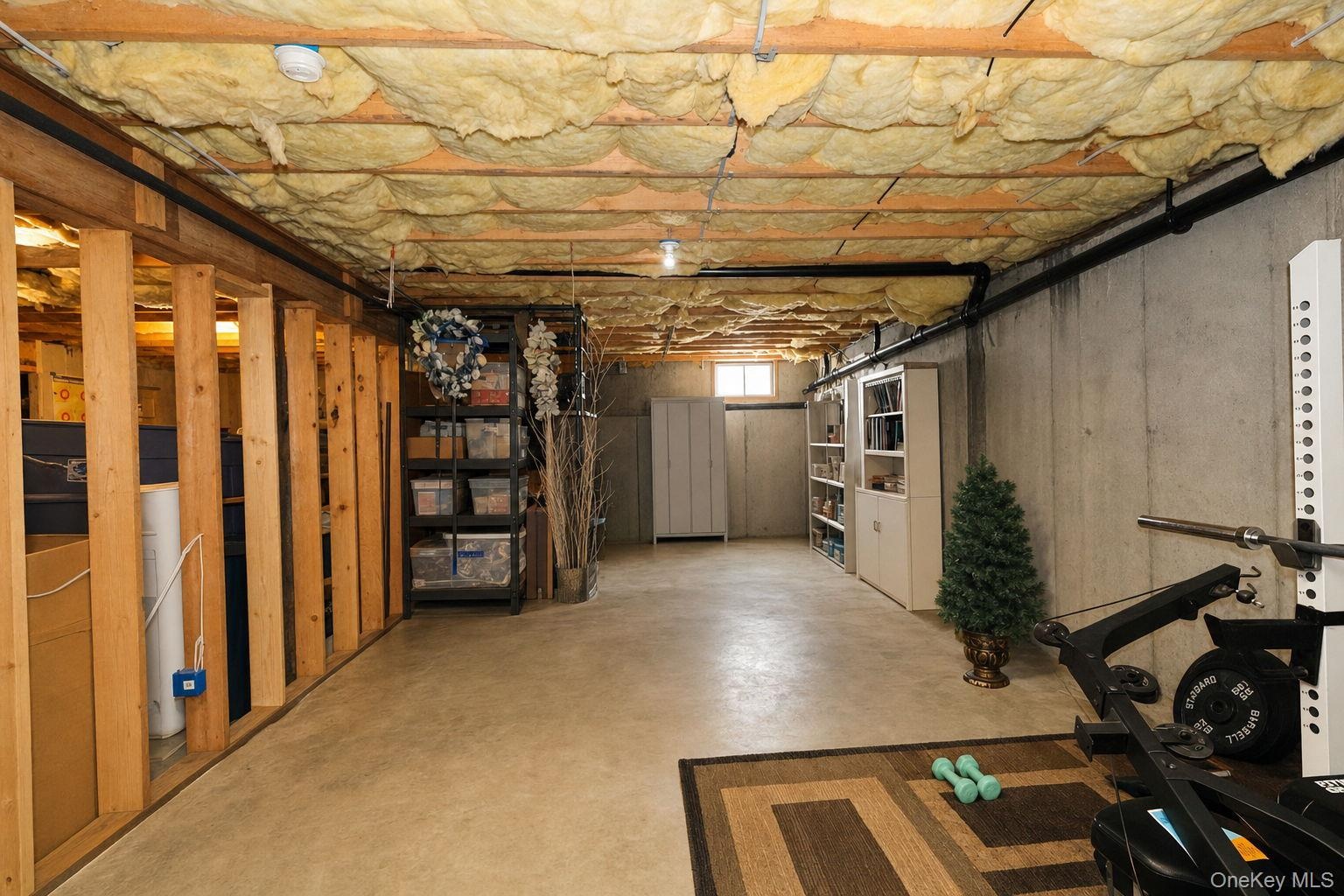 Exposed ceiling joists with insulation, concrete flooring, and partial wood framing for potential expansion