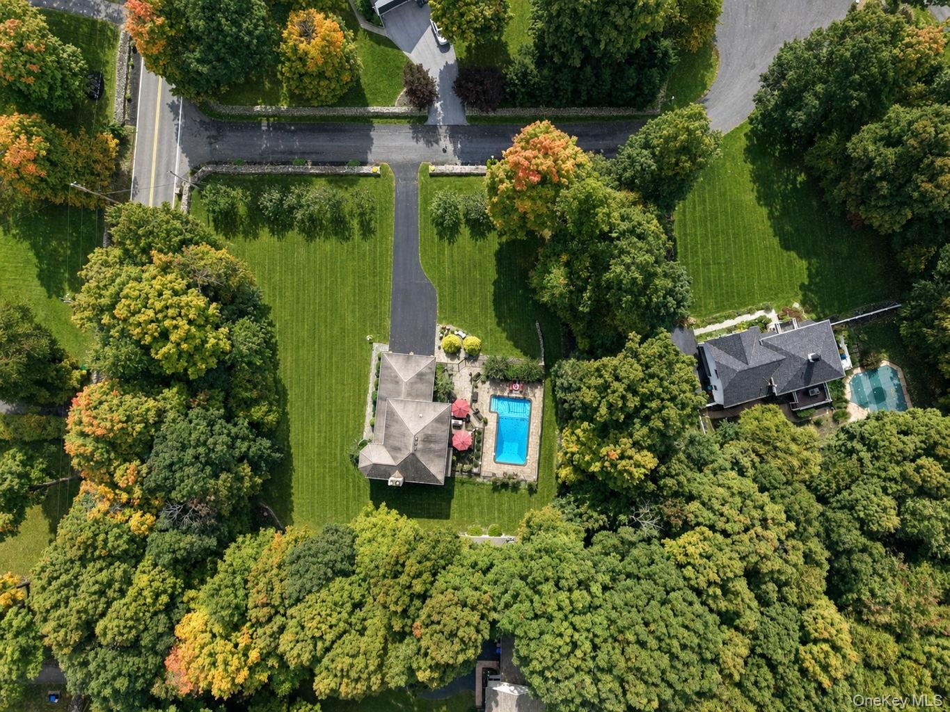 Expansive lot with lush green landscaping, mature trees, a private swimming pool, and a paved driveway leading to the residence