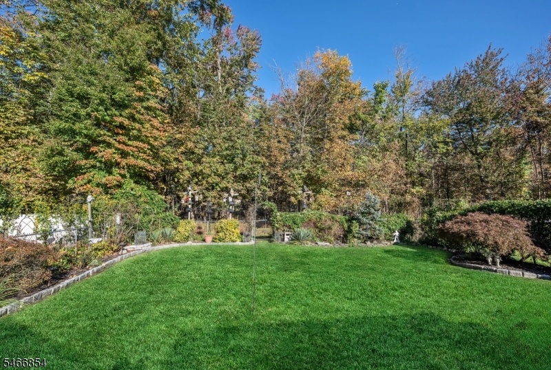 Fenced yard