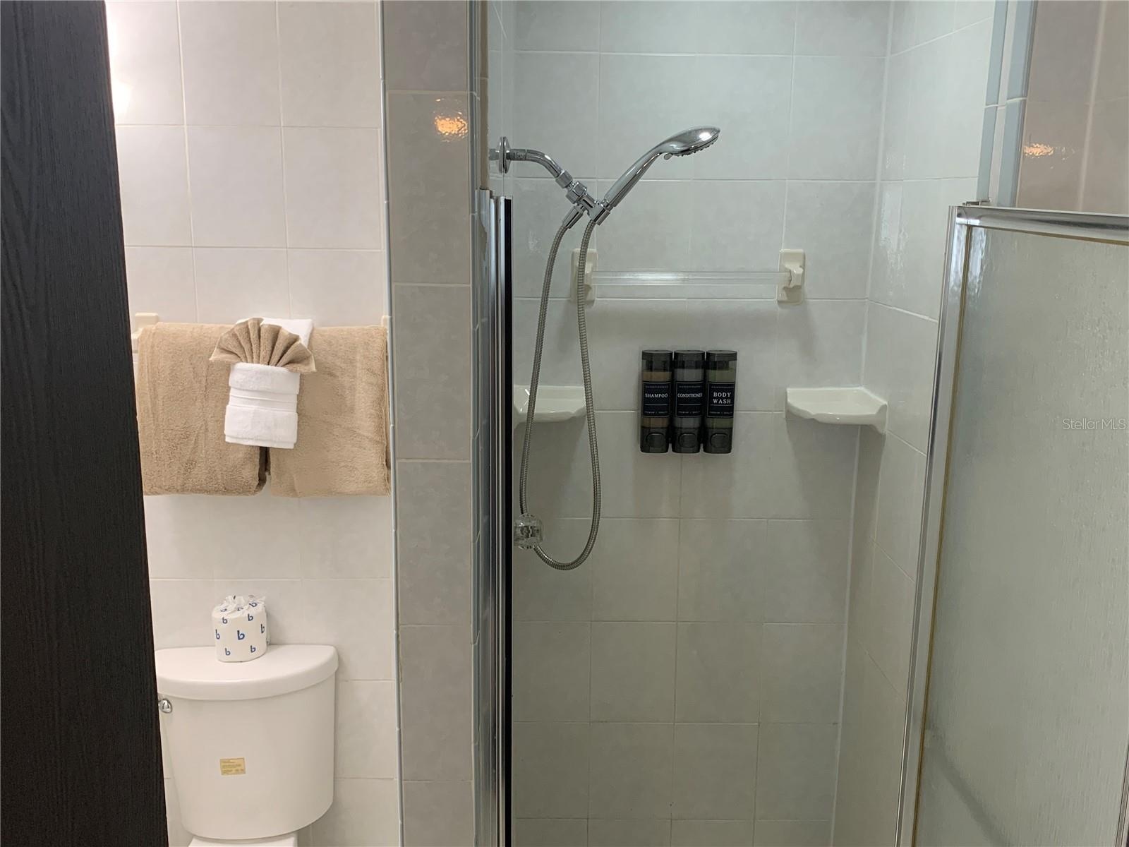 Guest Bathroom 2