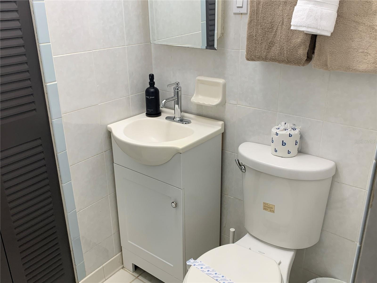 Guest Bathroom 2