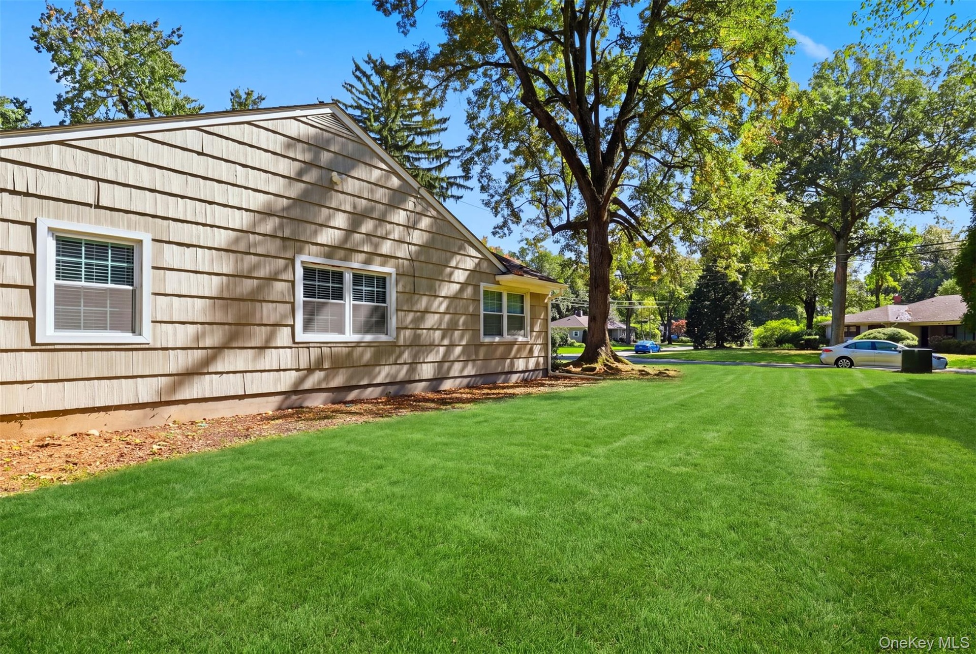 Spacious side yard