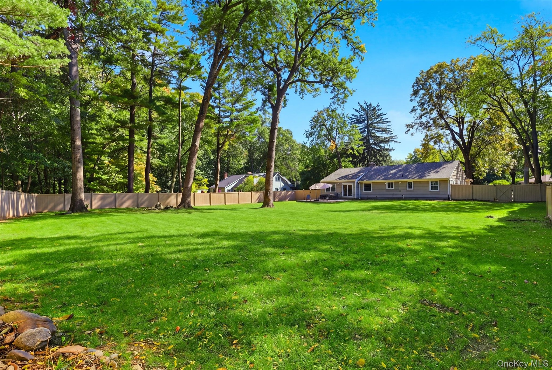 Large, level dreamy backyard, ideal for a pool