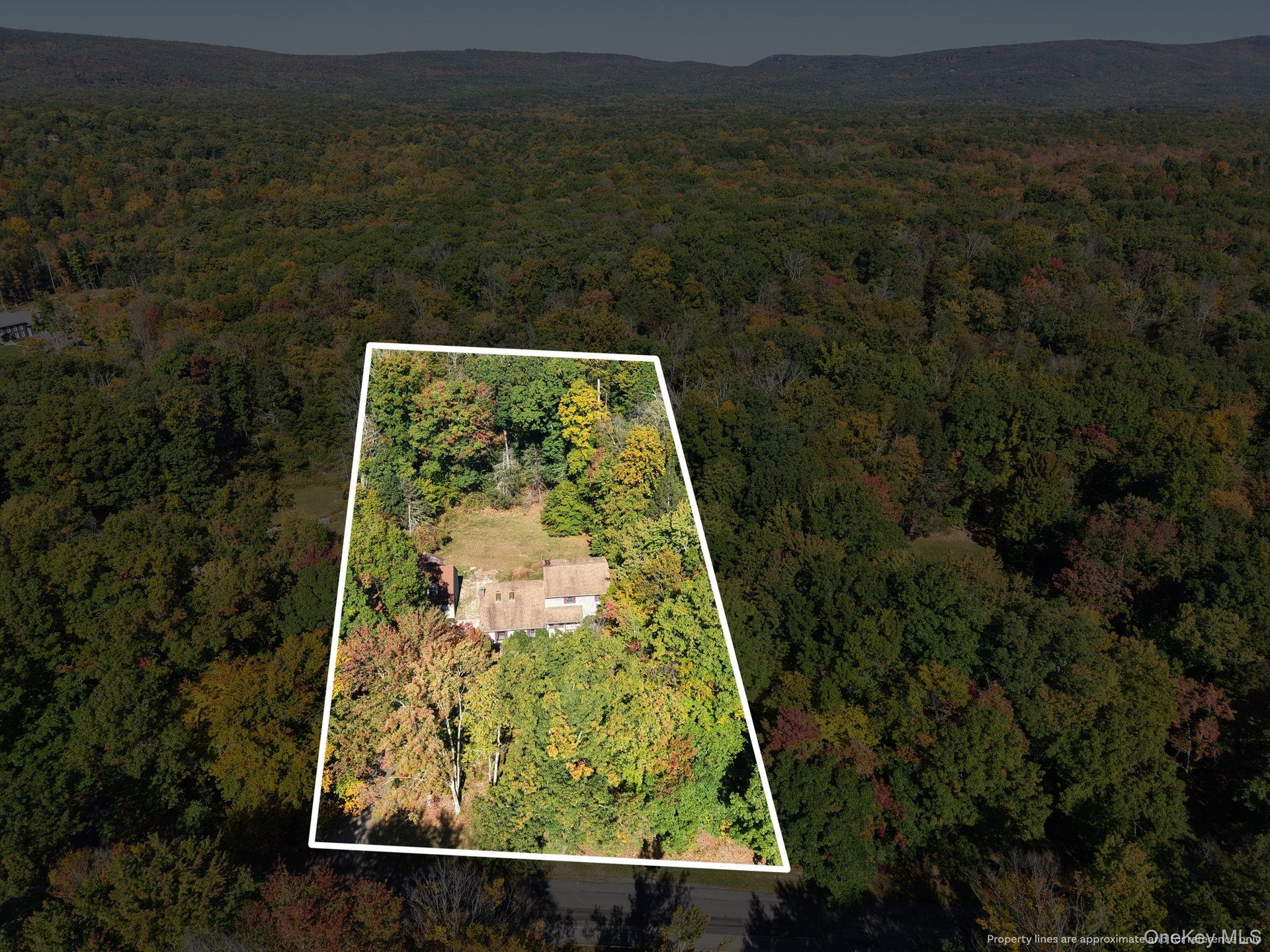 Lot overview