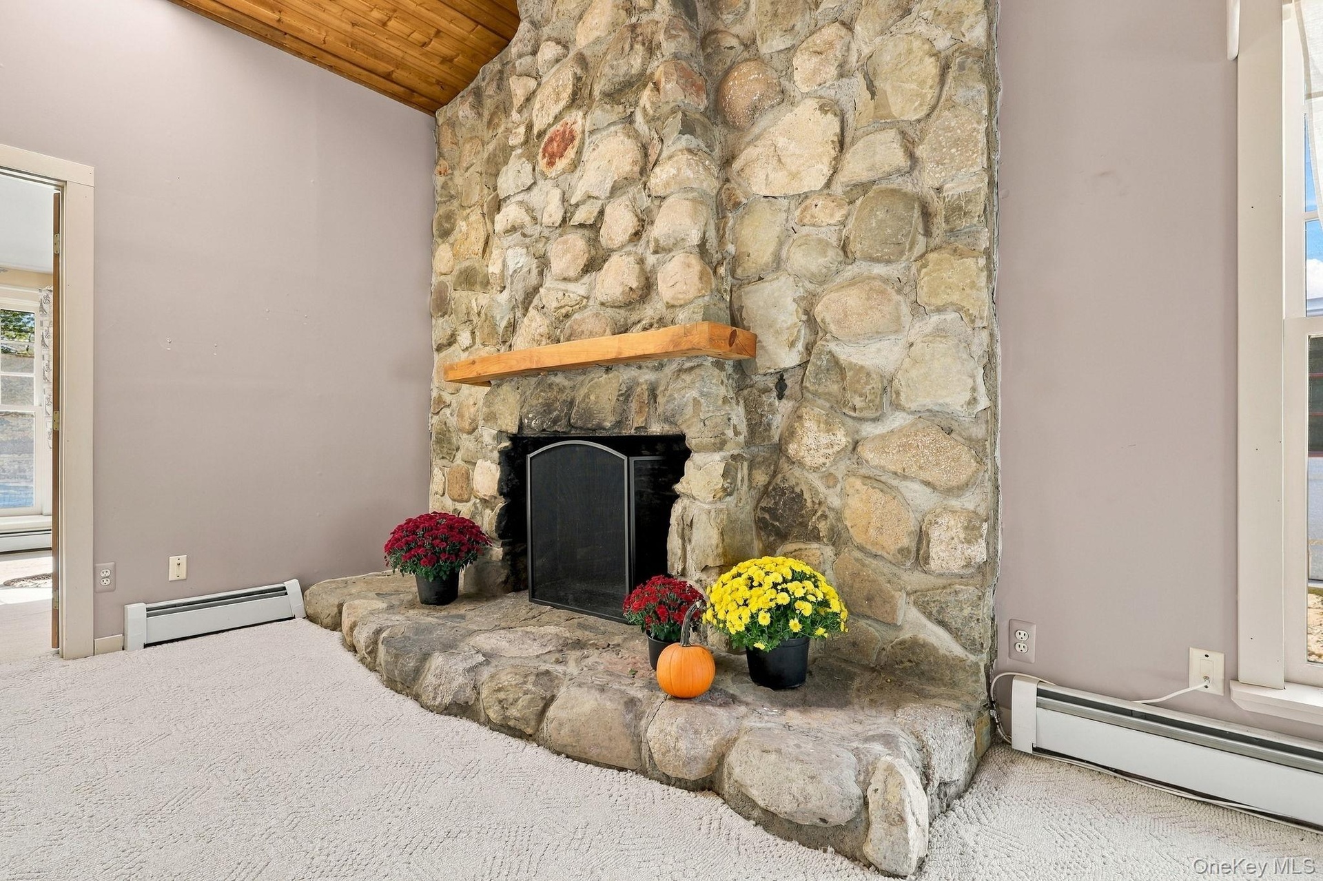 Woodburning fireplace