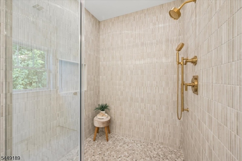 Primary Shower