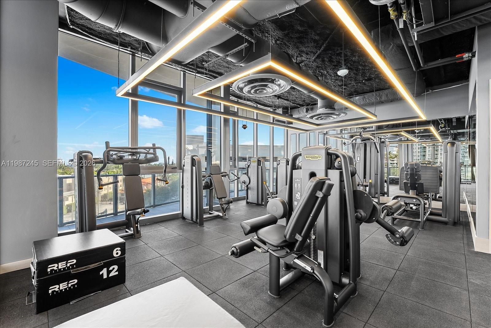 Machine-Assisted Weightlifting Section at Five Park Gym