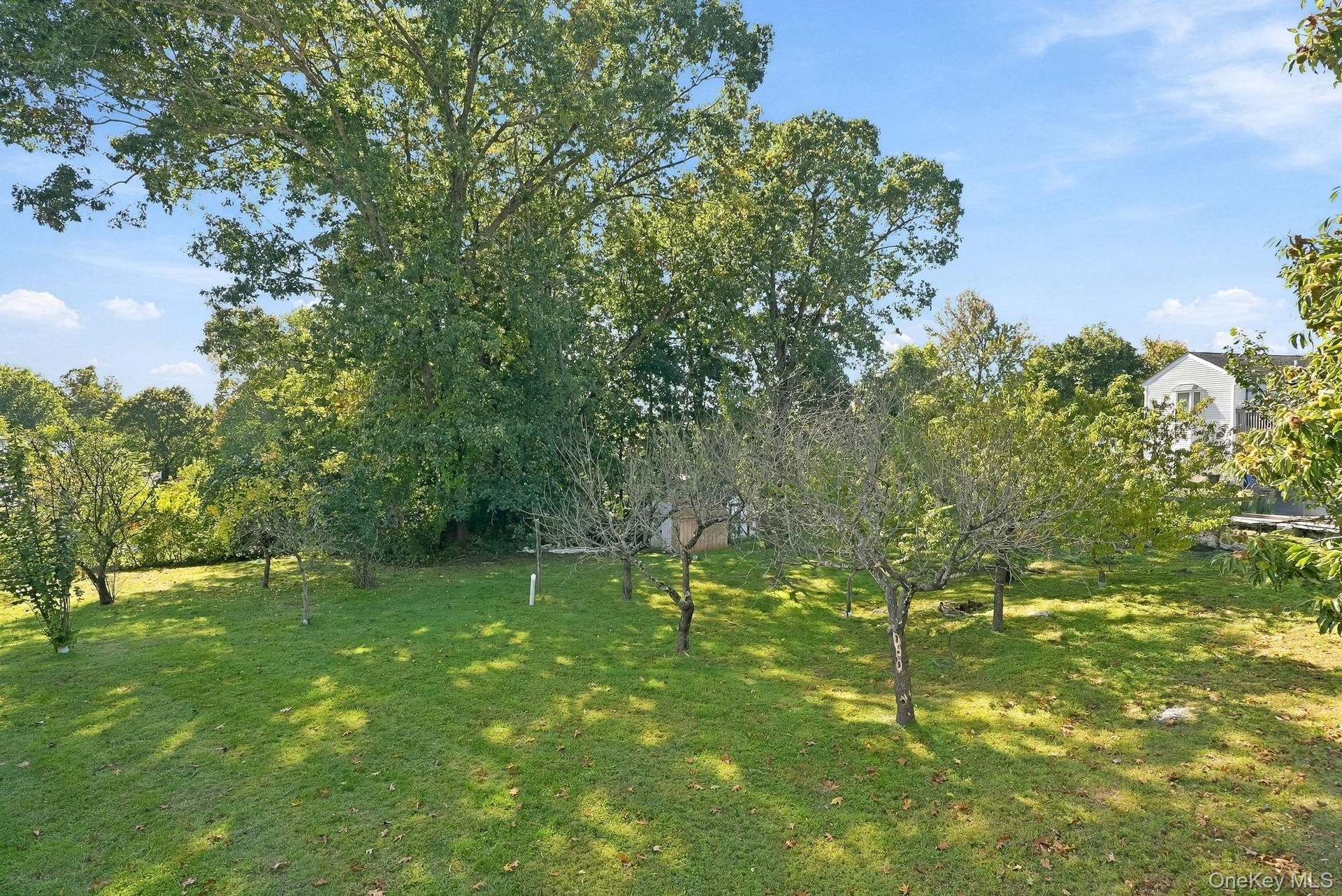 This lovely level yard is waiting for its next gardener!