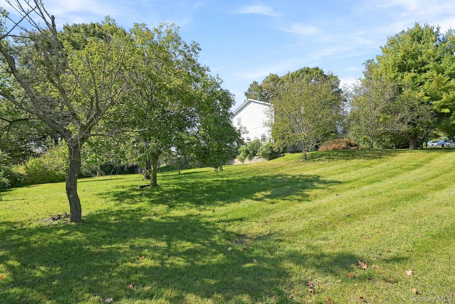 And there's a gentile slope that curves to the front of your new home.