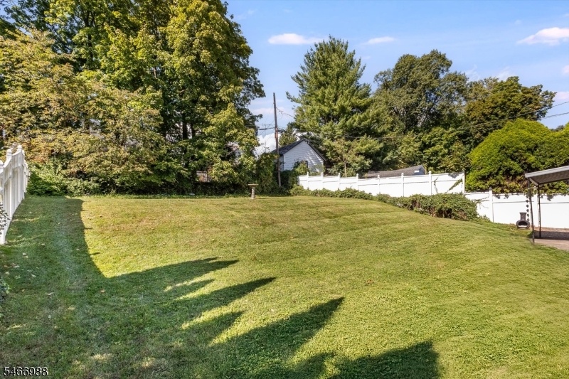 Rear patio and yard