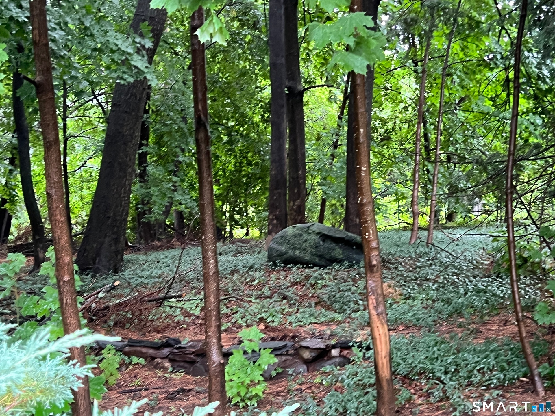 Side Yard