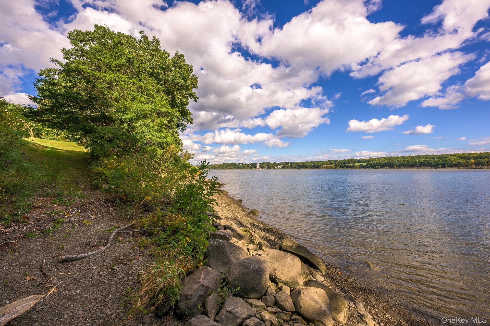 Expansive waterfront property featuring a natural shoreline, mature trees, and a clear water body