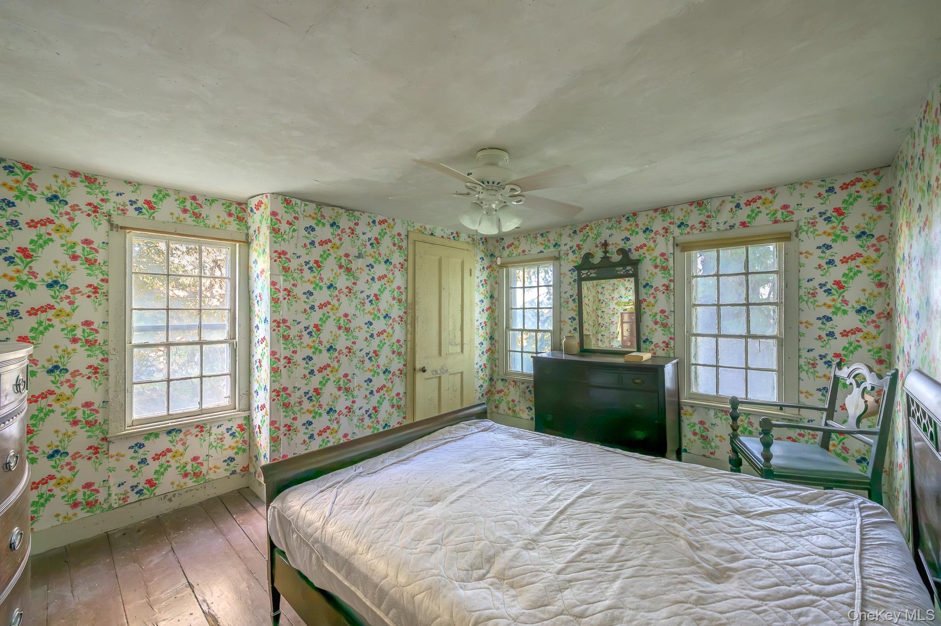Wood-finish flooring, two large windows, ceiling fan with light fixture, and a solid interior door