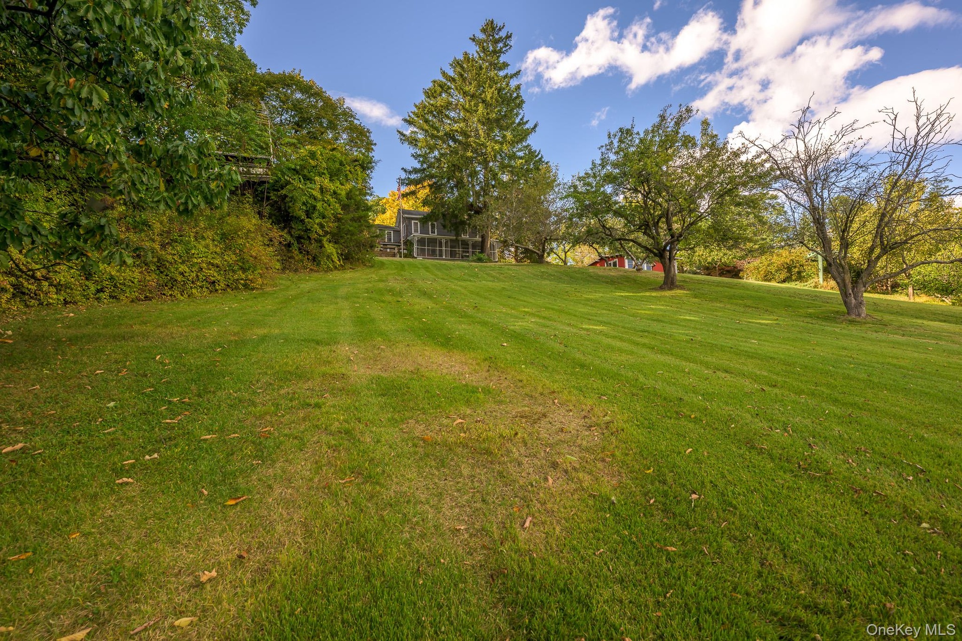 Expansive green lawn with mature trees and distant residential structure