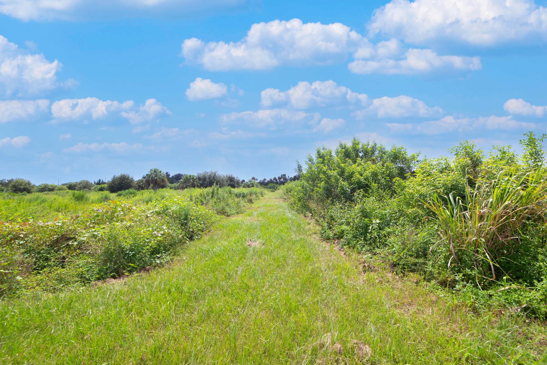 Trail along the property edge
