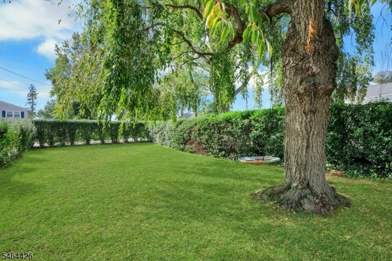 Side Yard