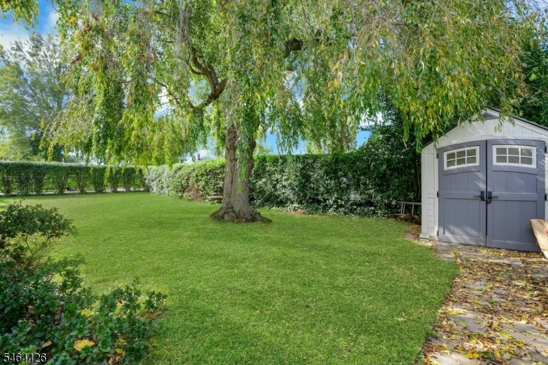 Side Yard with Shed