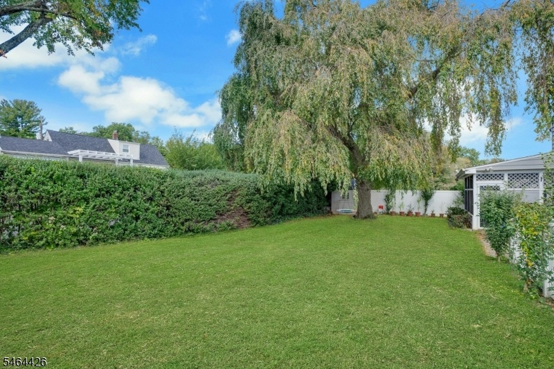 Side Yard