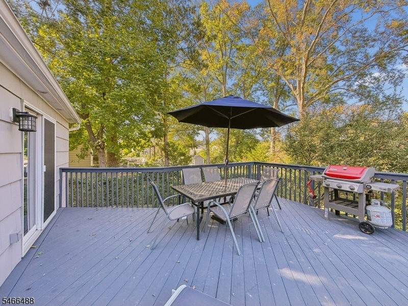 Deck alt view