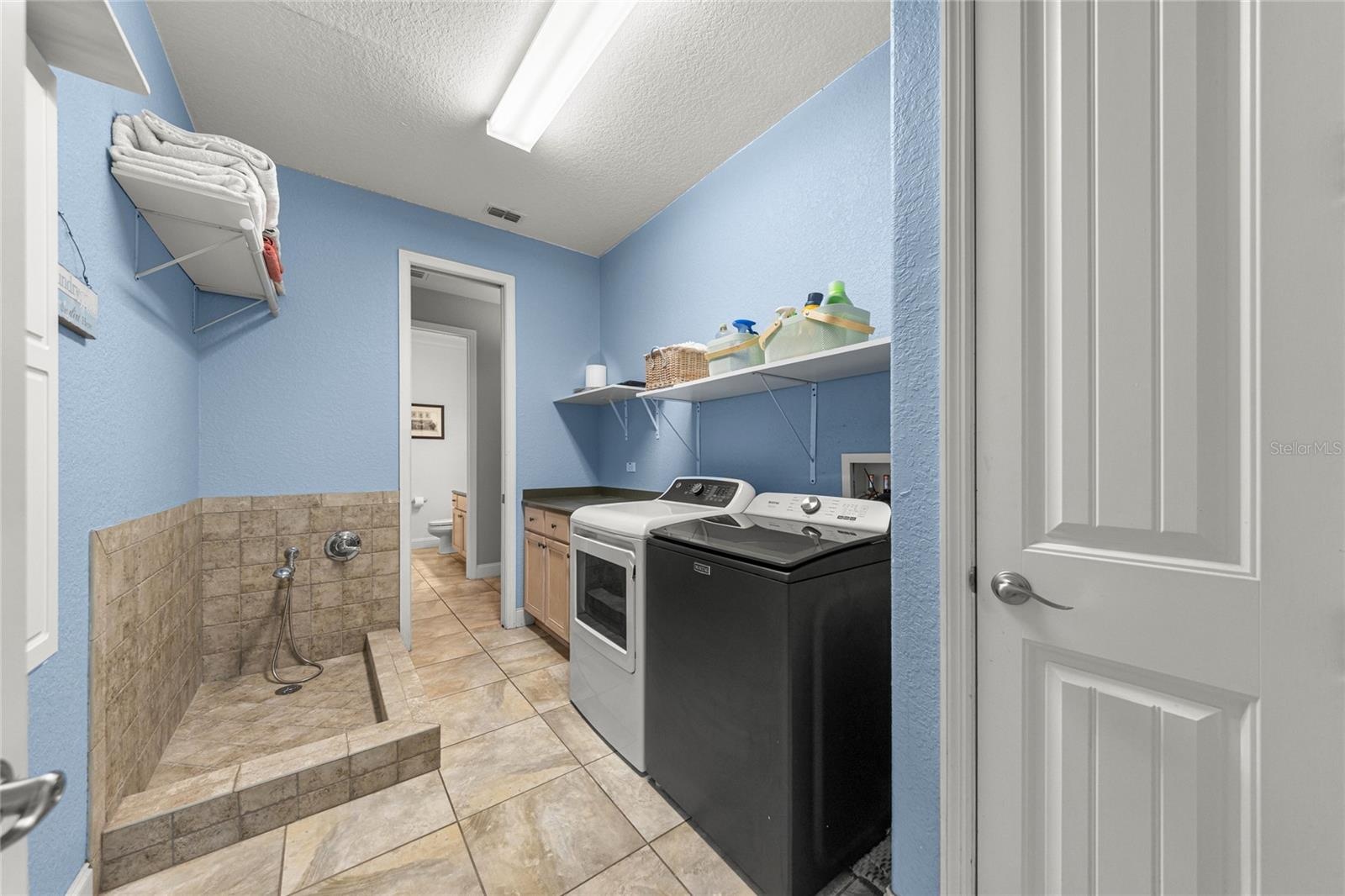 Utility Room with Dog Wash