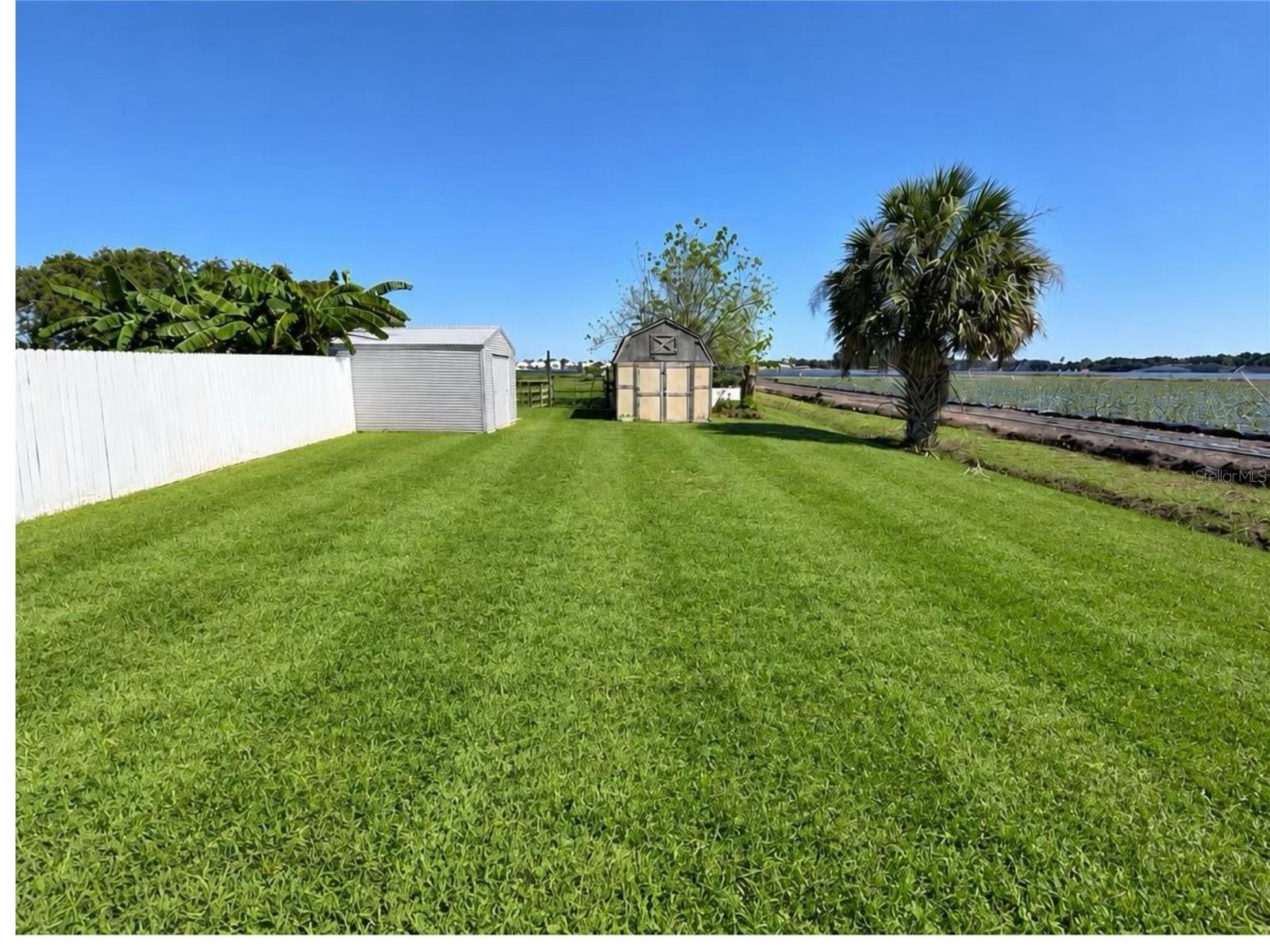Backyard/Sheds