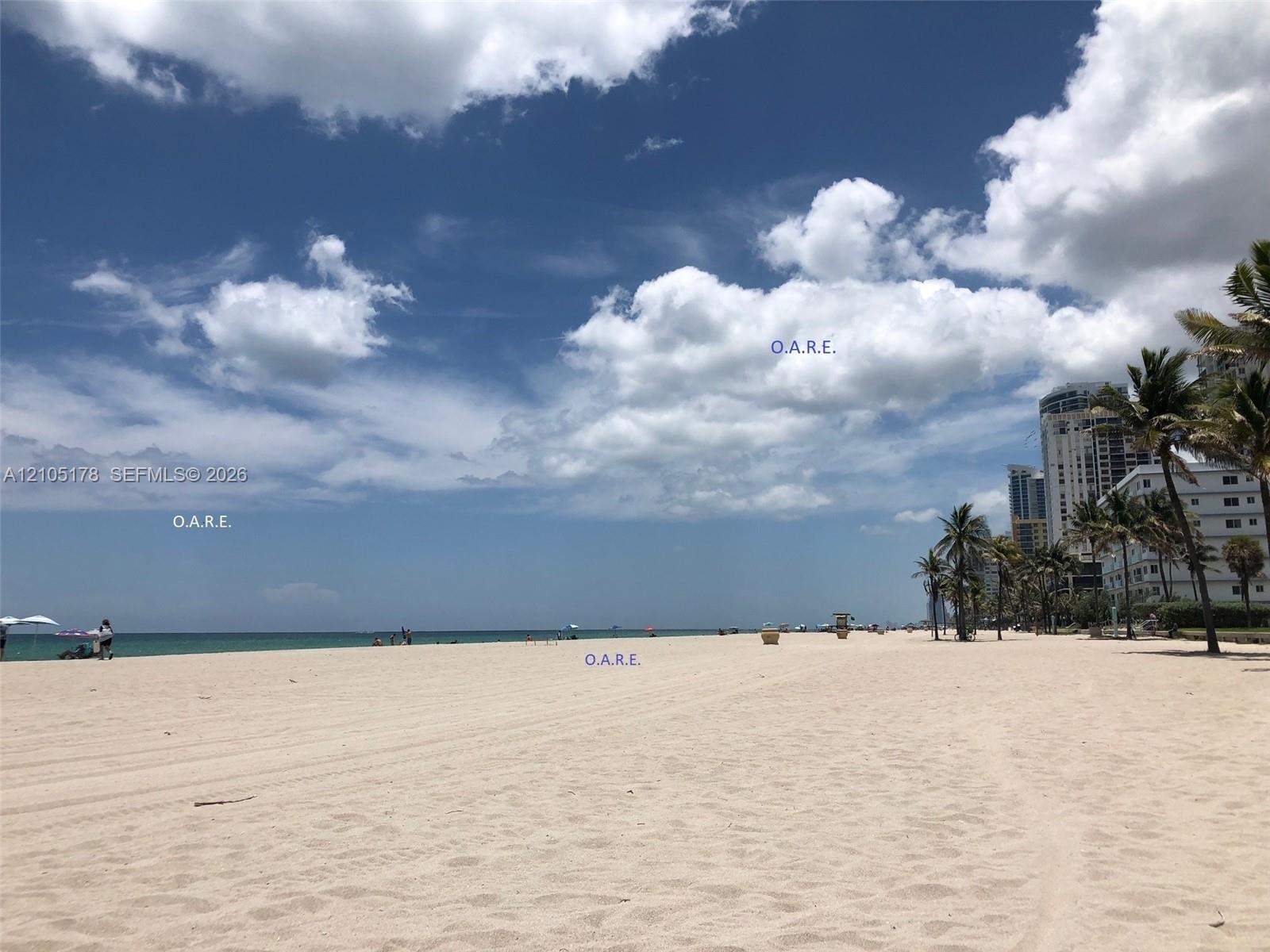Coastal shoreline featuring expansive sandy beach, ocean frontage, and mature palm trees