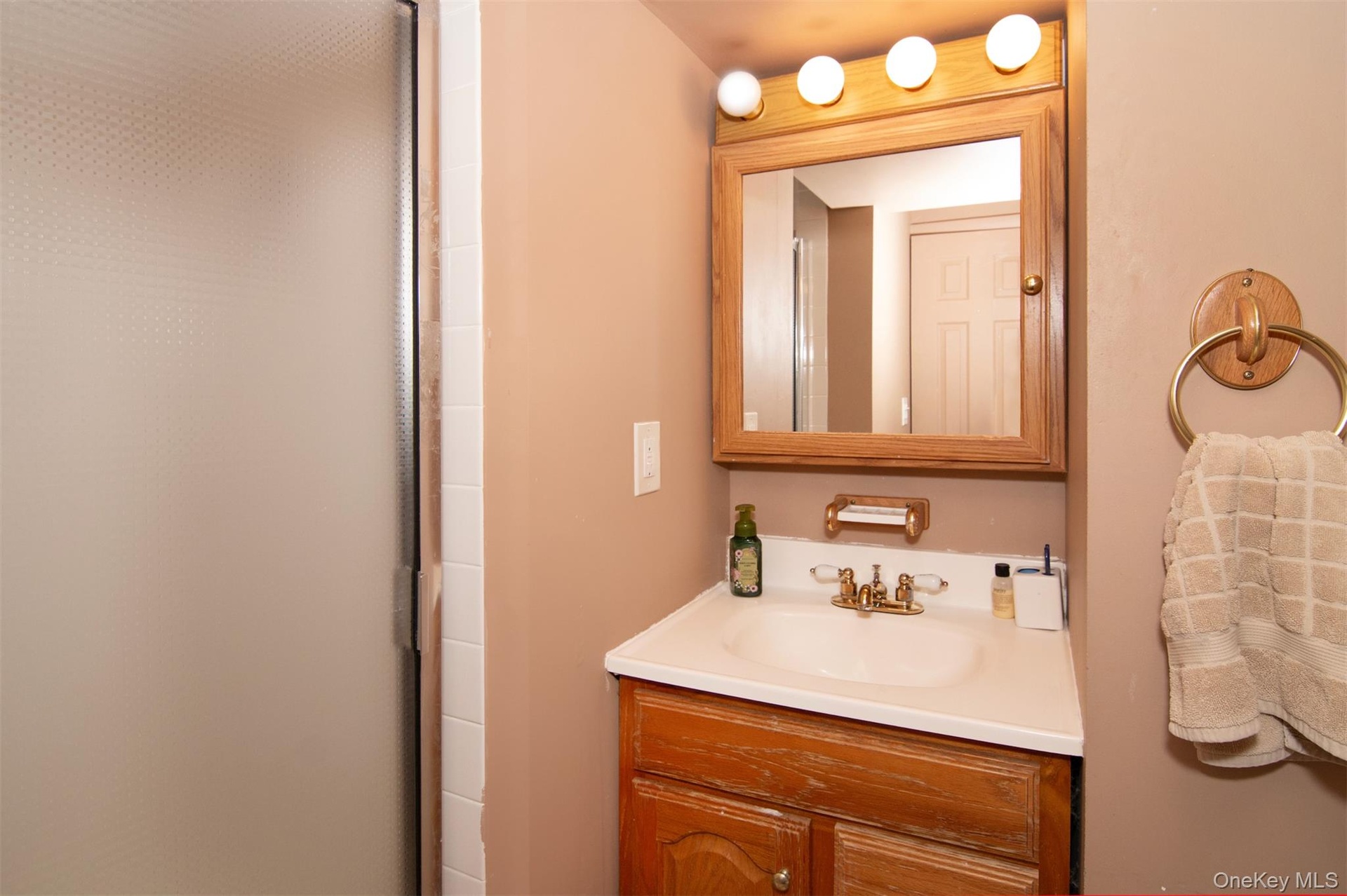 Lower level hall bathroom