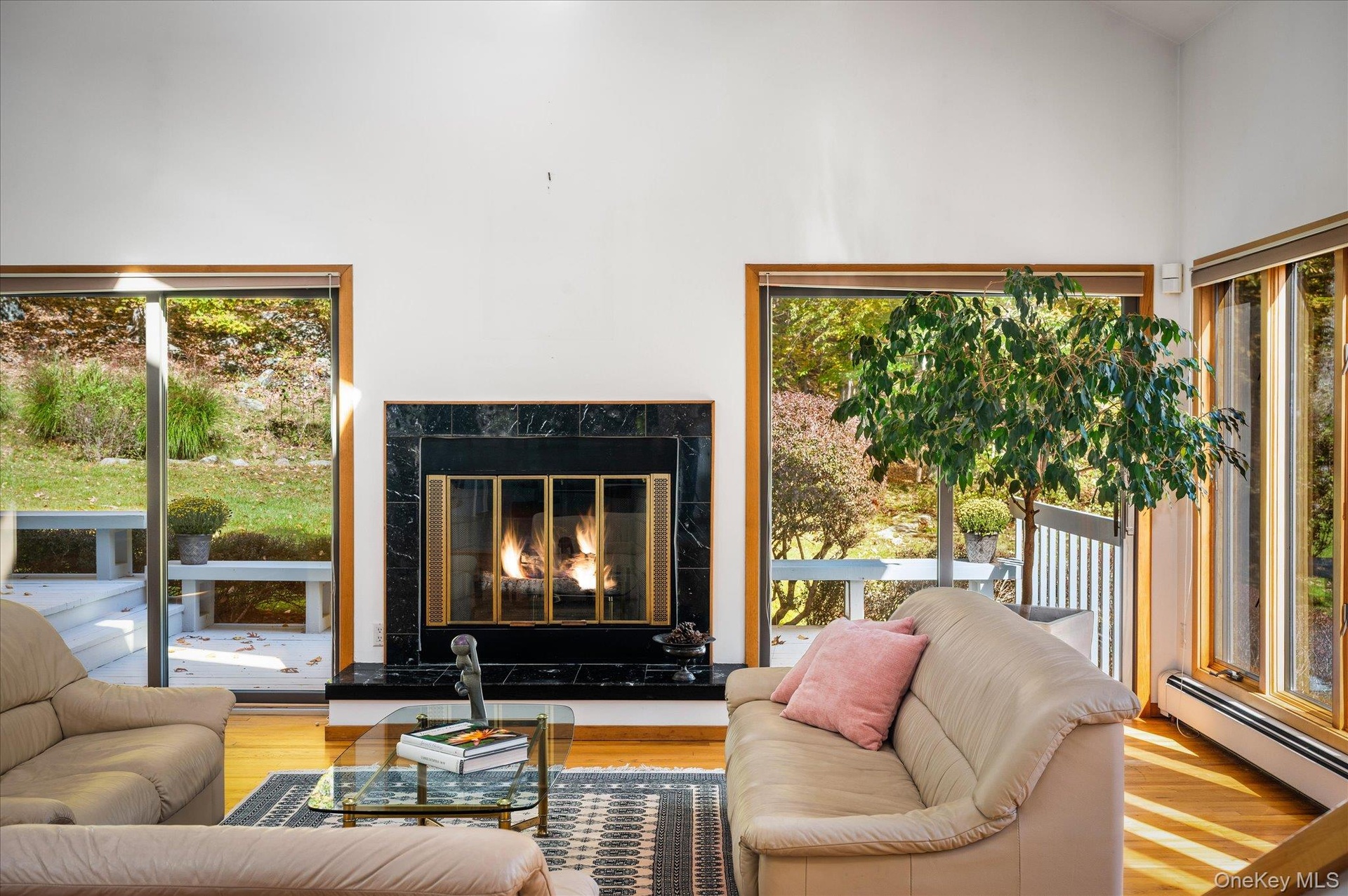 1st Fireplace