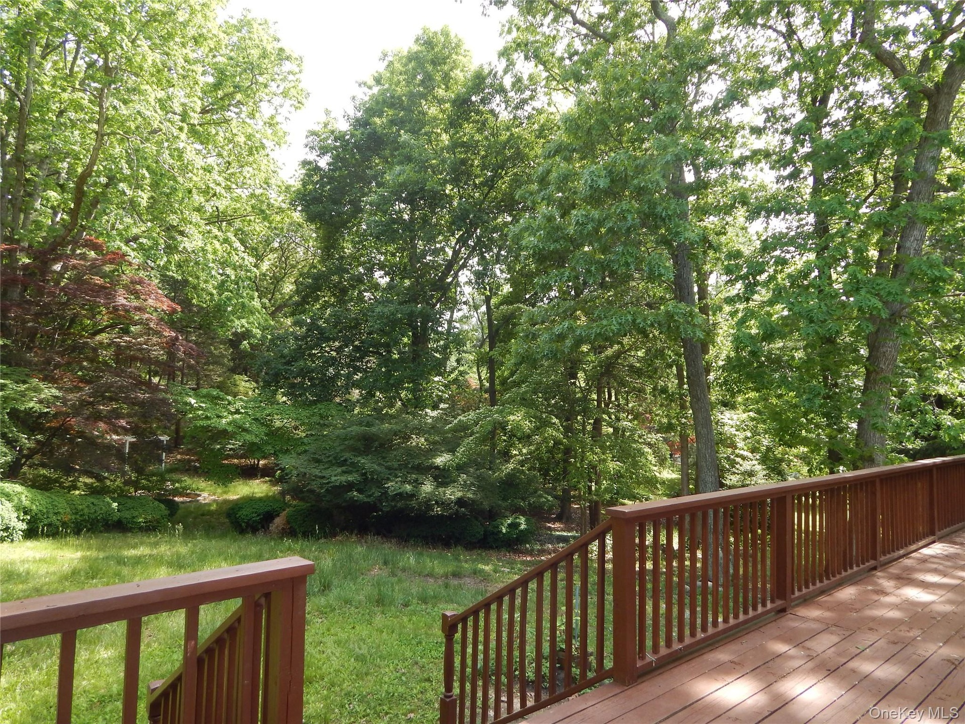 Deck off Dining Room