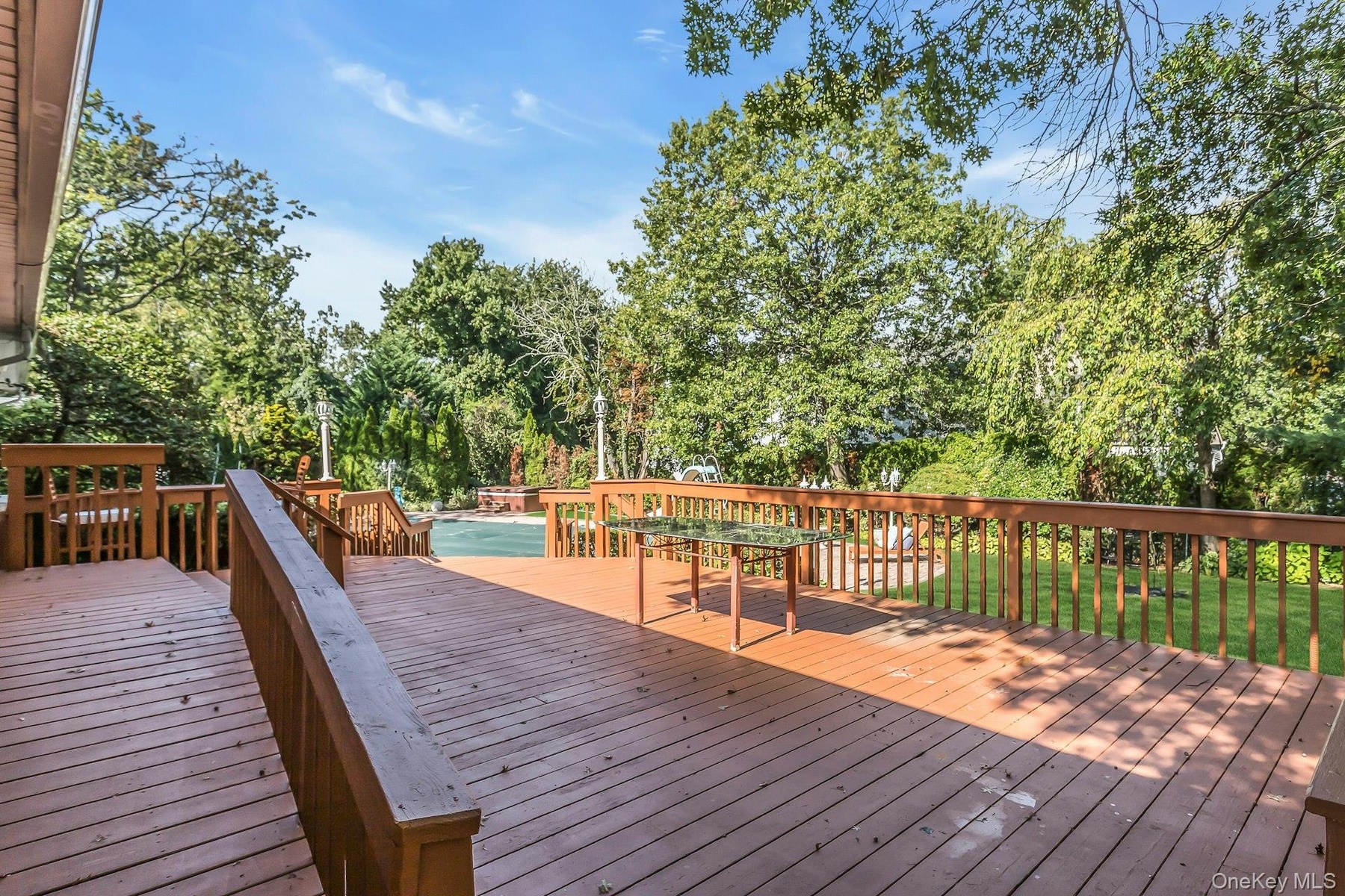 Wooden terrace with view of scattered trees